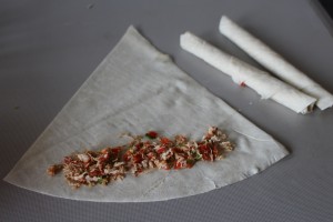 tavuklu sultan kebabi - tavuklu islak sigara böregi (4)
